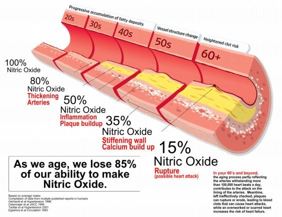 Nitric oxide deals blood pressure