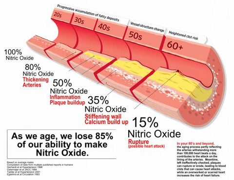 Nitric Oxide Support Formula