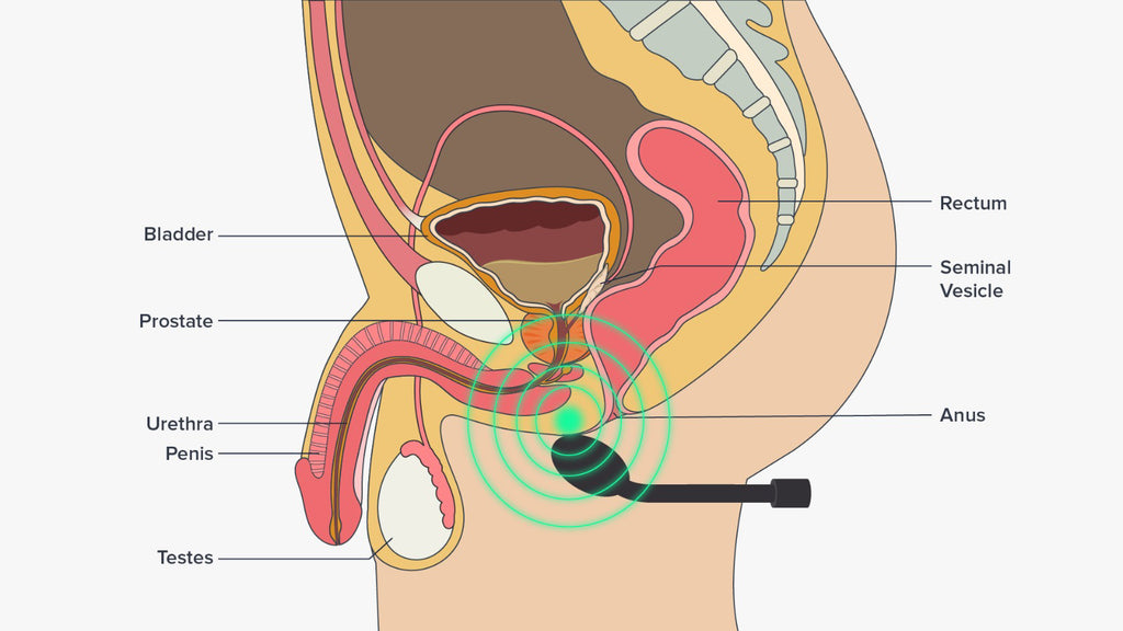 Woman Normal Teen girls Normal