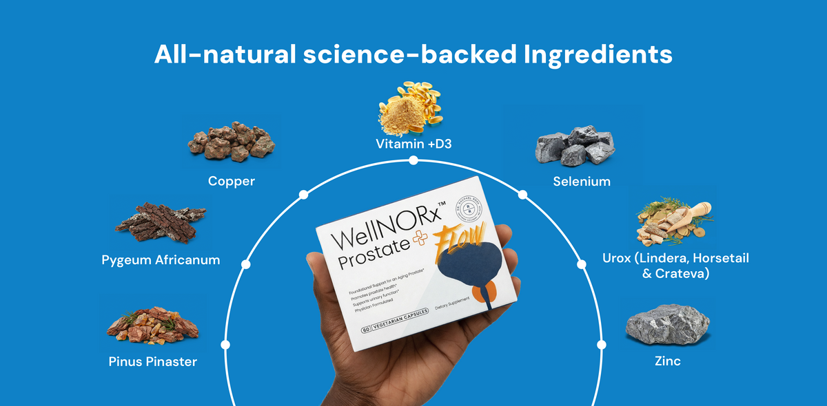 Prostate + Flow Formula | Herbal Prostate Support Supplement – Dr ...