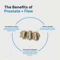 Prostate + Flow Formula Dr. Rachael Institute